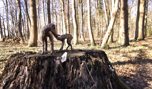 Winnende foto van de publieksprijswinnaar 2018: 'A point of View' van Fieke Jolink. Foto: Gerard ter Brugge