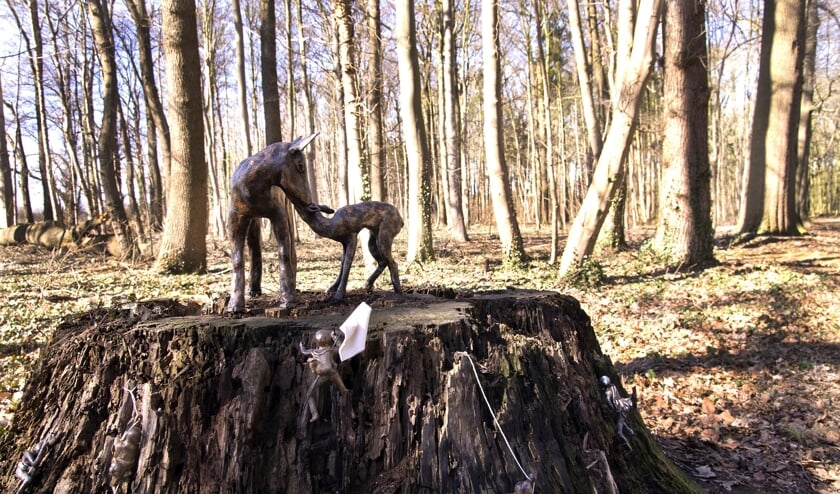Winnende foto van de publieksprijswinnaar 2018: 'A point of View' van Fieke Jolink. Foto: Gerard ter Brugge