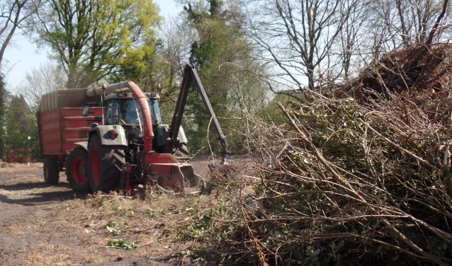 van Buurtvereniging De De Bruil en Omstreken zal nog voor Pasen worden versnipperd en afgevoerd worden. Foto: Jan Hendriksen
