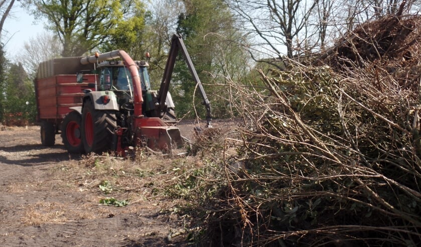 van Buurtvereniging De De Bruil en Omstreken zal nog voor Pasen worden versnipperd en afgevoerd worden. Foto: Jan Hendriksen