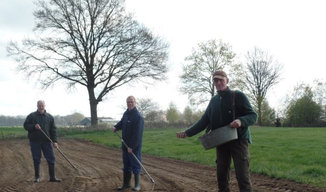 Erwin Dijkman zaait het 'zomergloed' langs een van de weilanden in 't Zwiepse Broek. Jan Dinkelman en Henk van Bindsbergen harken het zaadmengsel in. Foto: Jan Hendriksen,