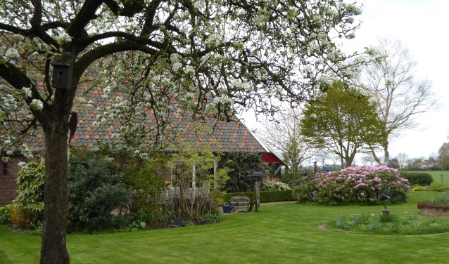 De heesters bloeien in de tuin van 't Meihuus. Foto: PR