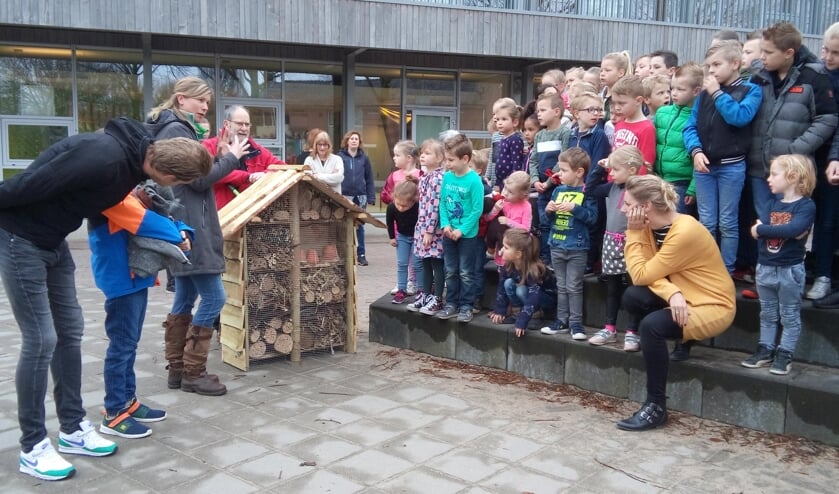 Leerlingen van de Piersonschool bekijken het insectenhotel, gemaakt in park de Bleijke. Foto: Dinie Ruesink