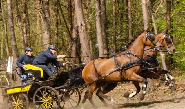 Jan Broeze won de rubriek tweespan paarden klasse L.Foto: Gerben Olthof