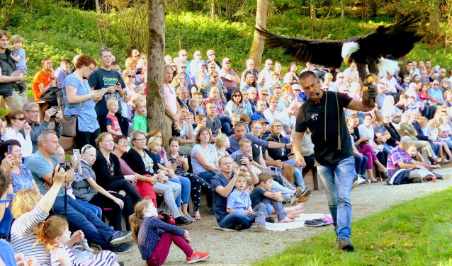 Een indrukwekkende Amerikaanse zeearend op de hand bij de valkenier. Foto: Jan Kraaijenbrink