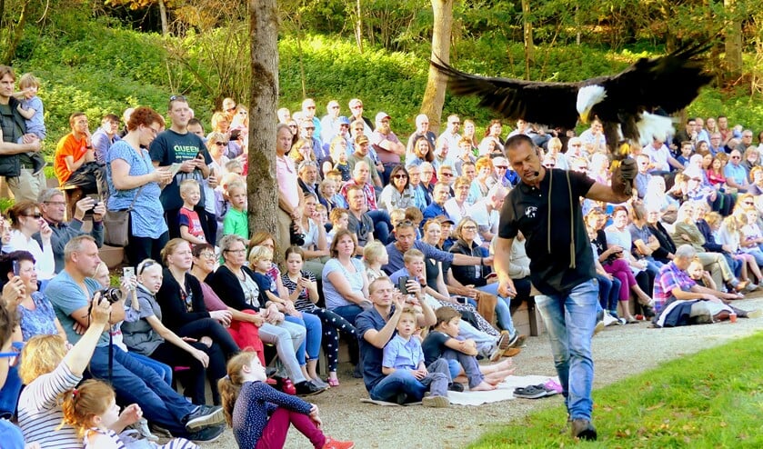Een indrukwekkende Amerikaanse zeearend op de hand bij de valkenier. Foto: Jan Kraaijenbrink