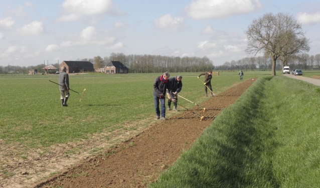 Inzaaien en onderwerken van het patrijzenmengsel door HSL vrijwilligers in de Luur. Foto: Jos Lohuis