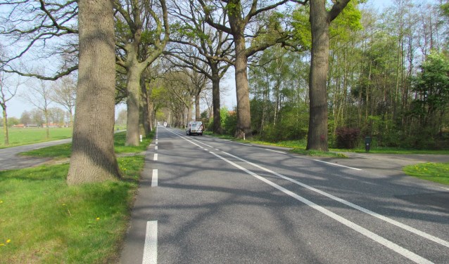 De N319. Foto: Rob Stevens