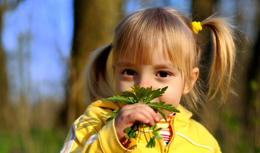 Kinderwandeling. Foto: Geldersch Landschap & Kasteelen