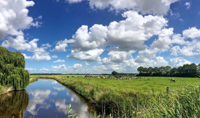 Een weerfoto van Paul Bouwens.