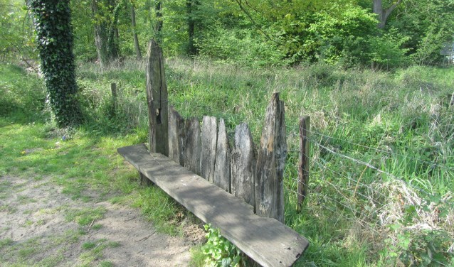 Het bankje aan de rand van de Bekendelle. Foto: Bernhard Harfsterkamp