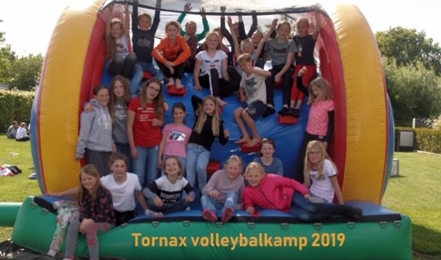 De Mini's van Tornax met hun begeleiders. Foto: PR