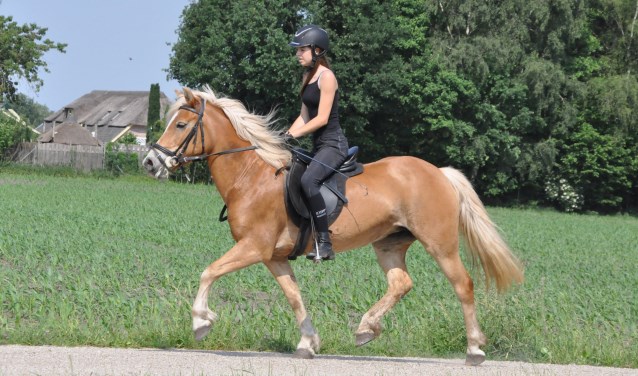 Deelname aan de Bronckhorster Paardenmeerdaagse is ook voor ruiters. Foto: Theo Jansen