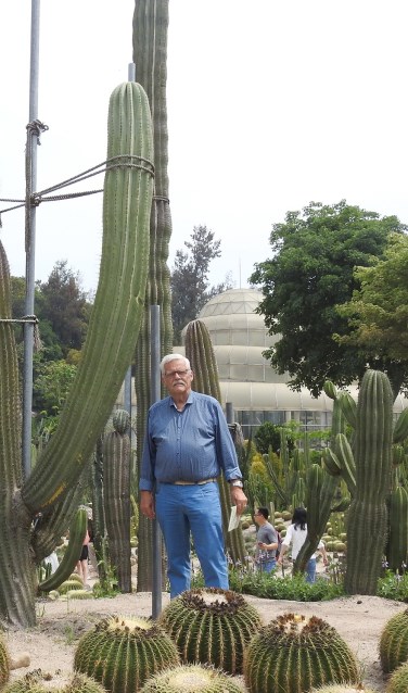 Henk Viscaal tussen de metershoge cactussen in China. Foto: Henk Viscaal