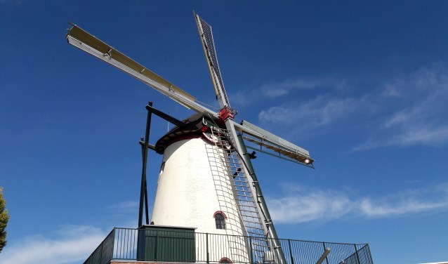 Molendagen bij de St. Martinusmolen in Didam. Foto: PR