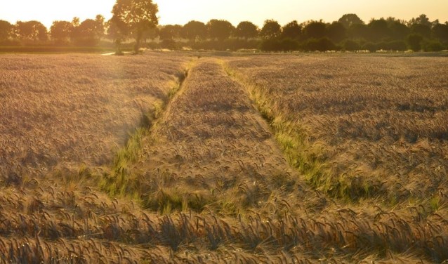 Wandelen door het prachtige landschap . Foto: PR