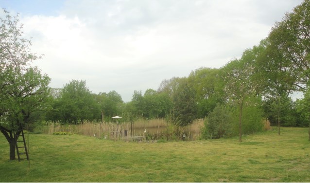 De Appelboom. Foto: PR