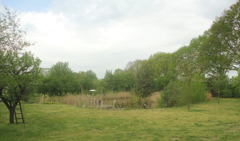 De Appelboom. Foto: PR
