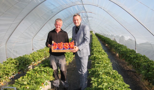 Bert Lensink en burgemeester Anton Stapelkamp met het eerste kistje aardbeien. Foto: Lydia ter Welle