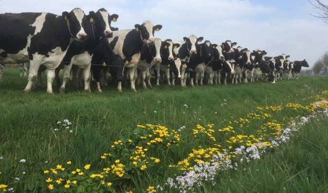 Het Ziegenbeekpad. Foto: PR