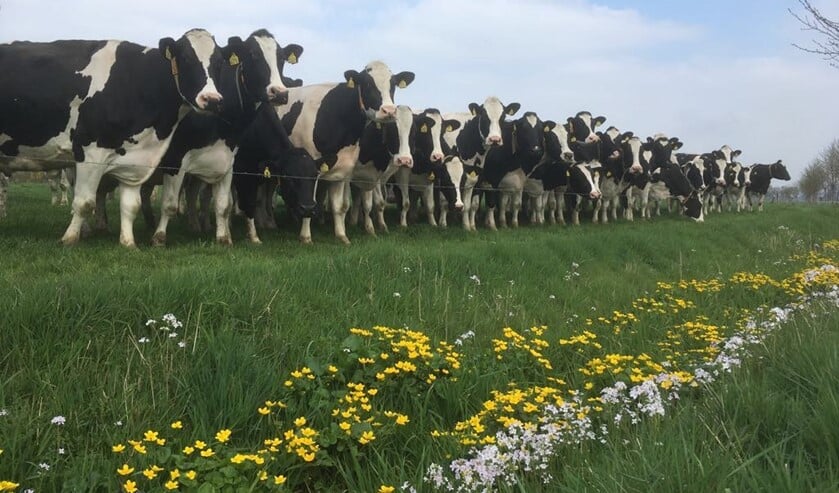 Het Ziegenbeekpad. Foto: PR