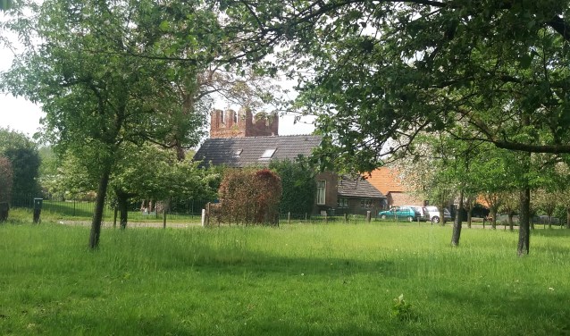 De hoogstamfruitboomgaard bij Hof te Baak en de Baakse Kapelruïne. Foto: PR