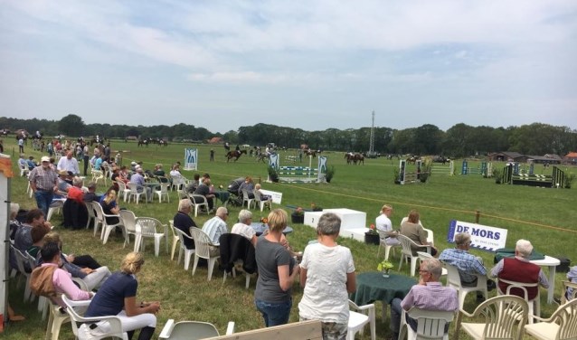 Mooi weer, mooie paardensport op het Pinksterconcours van de Hamelandse. Foto: PR