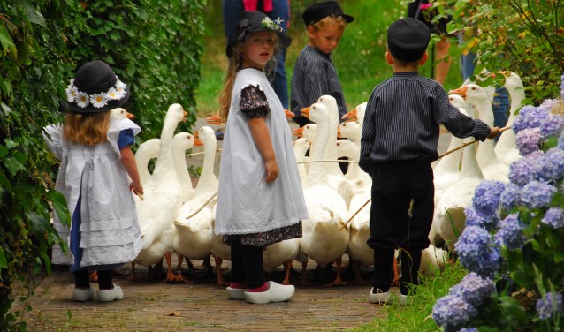 Kinderen kunnen zich opgeven voor het ganzenhoeden. Foto: PR