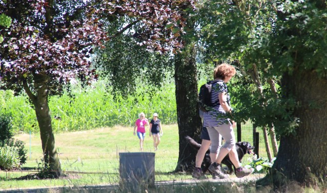 Wandelen en muziek bij het Korenfestival. Foto: PR