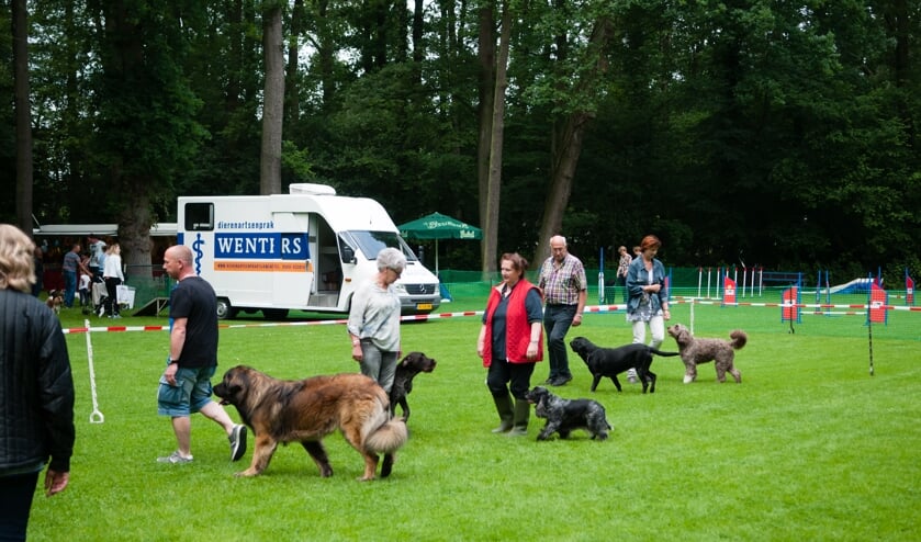 Impressie van de hondendag KCW 2018. Foto: Ronny Elschot