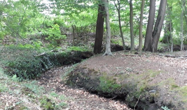 Op de Haart valt veel genieten van de natuur. Foto: A. Elburg