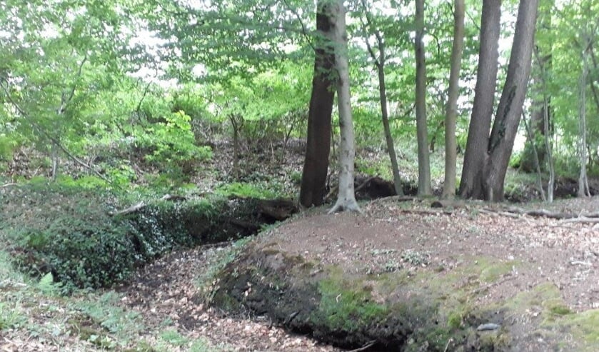 Op de Haart valt veel genieten van de natuur. Foto: A. Elburg