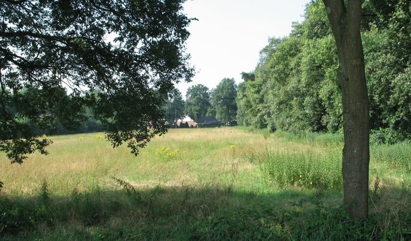 Landschap in de Haart. Foto: Bernhard Harfsterkamp
