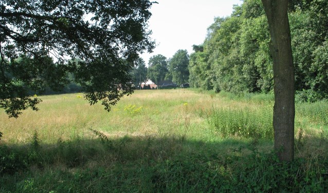 Landschap in de Haart. Foto: Bernhard Harfsterkamp