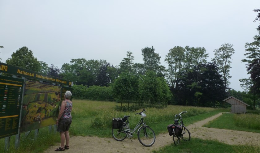 De route van juli gaat in de richting van Aalten en Corle bij Winterswijk. Foto: B. Bruggink