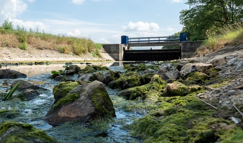 Weinig water in de Bielheimerbeek, nabij de Berkelderstraat. Foto: Burry van den Brink