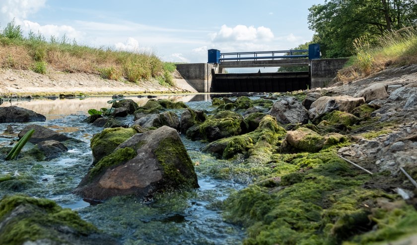 Weinig water in de Bielheimerbeek, nabij de Berkelderstraat. Foto: Burry van den Brink