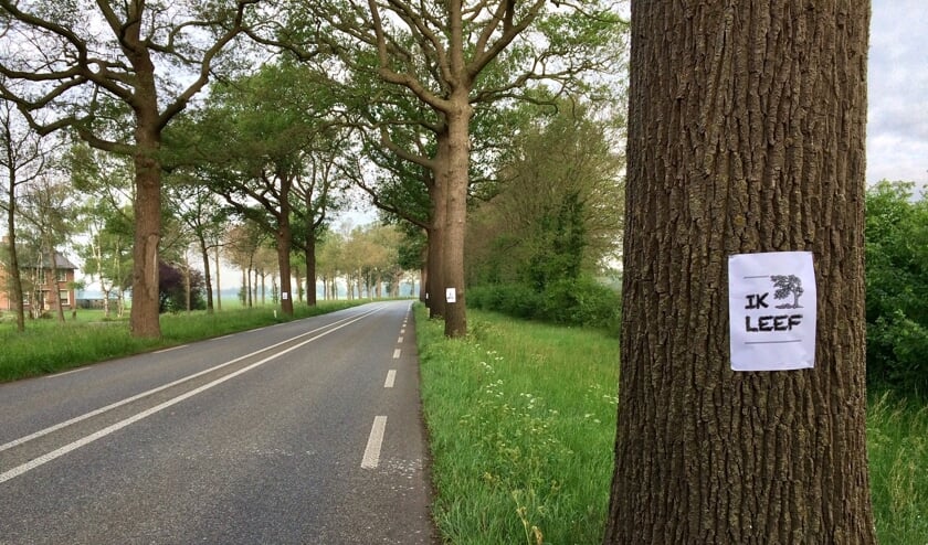Een van de affiches op een boom langs de N319. Foto: PR