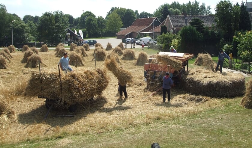 Oogsten zoals dat vroeger ging bij de Piepermolen. Foto: PR