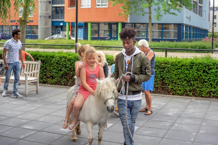 Een leerling van het ISK begeleidt twee basisschoolleerlingen op een Shetlandpony. Foto: Giovanni Tunzi