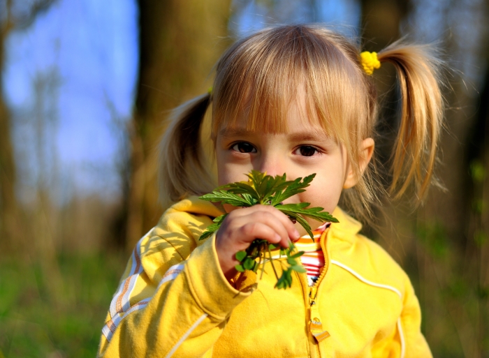 Lochemse Berg-kinderavondwandeling