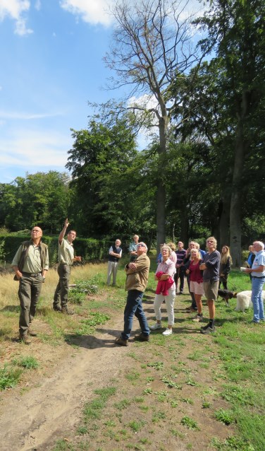 Beheerder Abbink (l) en boswachter Ter Horst (tweede van links) geven uitleg; op de achtergrond is goed te zien in welke slechte staat sommige bomen verkeren.Foto: Bert Vinkenborg