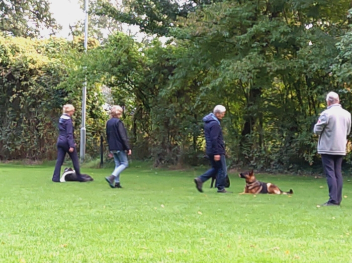 Honden liggen braaf af op het veld van KCWinterswijk