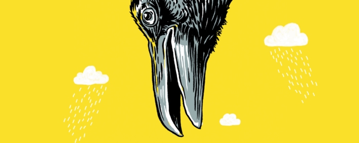 KK-webbeeld-horizontaal