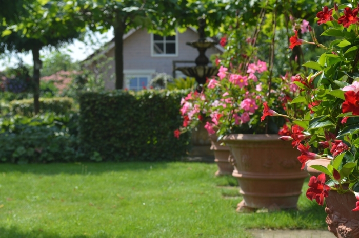 Open tuindag bij Tuin de Zumpe