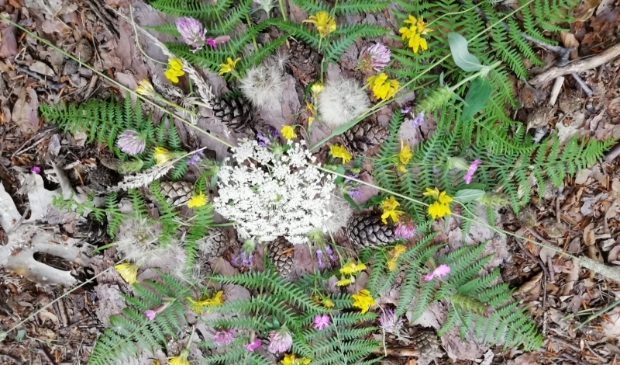 Mandala van natuurlijk materiaal