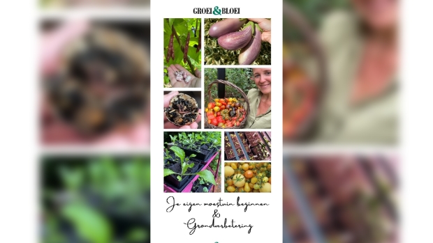 Foto van groente ui de moestuin