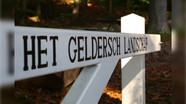 Stevige winterwandeling Lochemse Berg