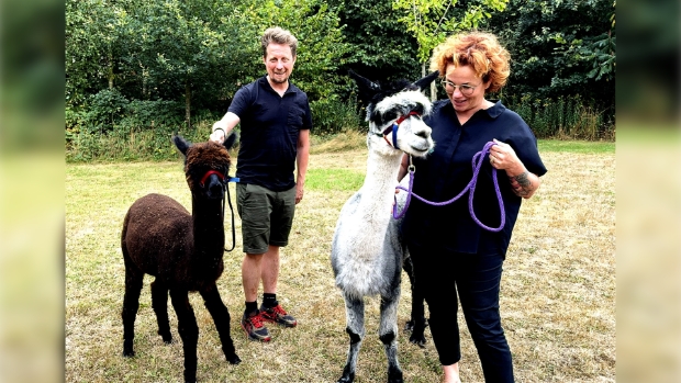 Alpaca Meet & Greet, Gelderland