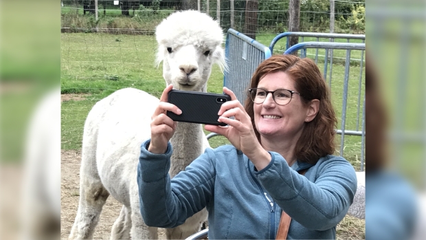 Alpaca Meet & Greet, Gelderland